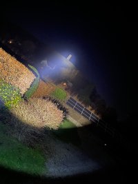 IMG_6831.jpeg