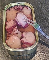 Resizer_17804062536093.jpg
