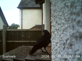 EK000067 - frame at 0m15s.jpg