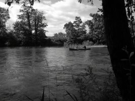 IMG_20260613_105058.jpg