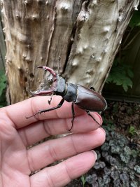 IMG_8559.jpeg