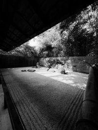IMG_2230.jpeg