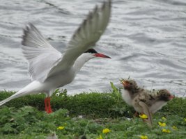 IMG_0640.JPG