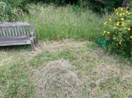 IMG_9335.jpeg