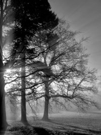 1Black and white.jpg 1Black and white.jpg