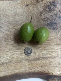 IMG_1899.jpeg
