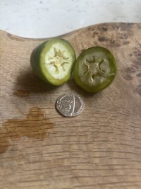 IMG_1900.jpeg