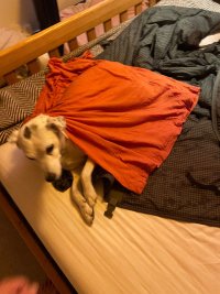 IMG_0861.jpeg
