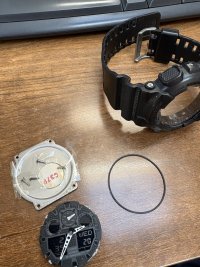 IMG_0488.jpeg
