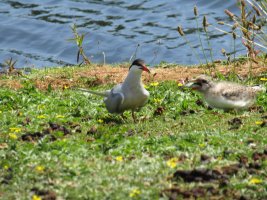 IMG_0688.JPG