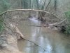 bridge.jpg