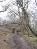 Ullacombe walk 27.3.13 005.jpg