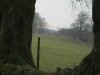 Ullacombe walk 27.3.13 016.jpg