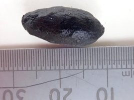 1 - TG530340.jpg