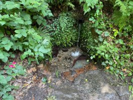 IMG_0859.jpeg