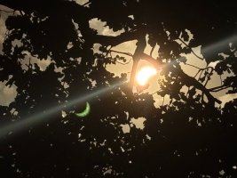 IMG_8003.jpeg