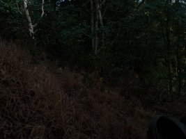 IMG_8009.jpeg