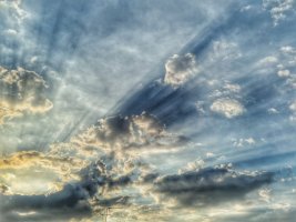 IMG_3085.jpeg