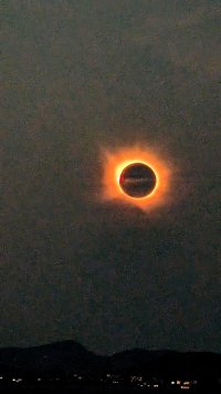 1000023426.jpg