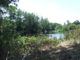 1786799934900.png