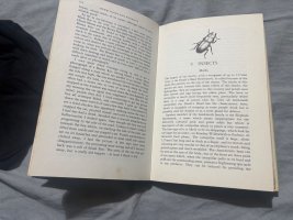 IMG_8115.jpeg