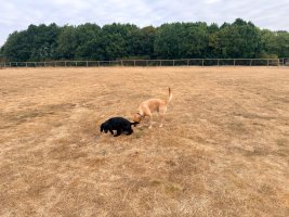 IMG_4814.jpeg