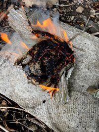 wasp nest - flames.jpg wasp nest - flames.jpg