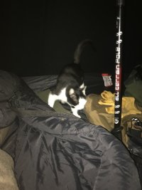 IMG_4425.jpeg IMG_4425.jpeg