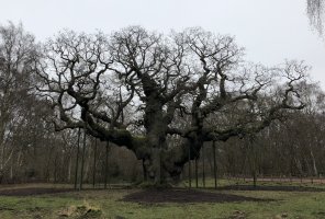 IMG_0330.jpeg