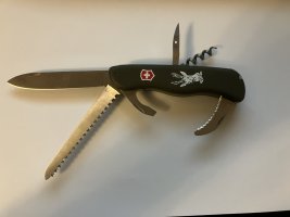 IMG_7196.jpeg