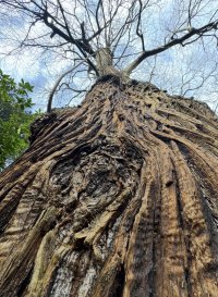 IMG_3908.jpeg