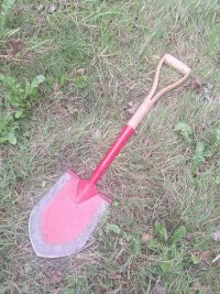 20260907_100750.jpg