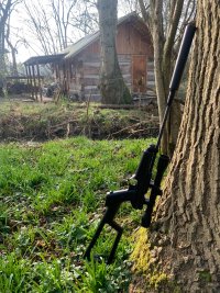 IMG_3807.jpeg