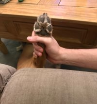 IMG_5223.jpeg