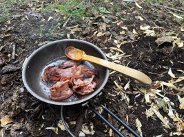 IMG_8231.jpeg