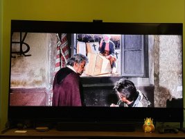 IMG_5313.jpeg
