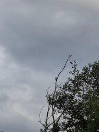 20260915_161932.jpg