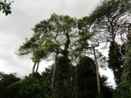 IMG_1114.JPG