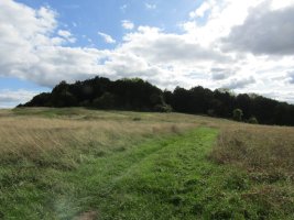 IMG_1129.JPG
