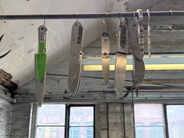 IMG_8254.jpeg