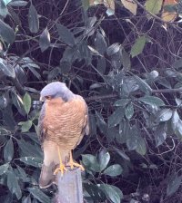 IMG_4135.jpeg