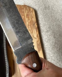 IMG_1366.jpeg