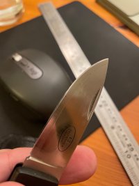 IMG_1431.jpeg