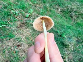 IMG_5416.jpeg