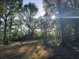 IMG_5408.jpeg