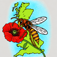 IMG_3466.png