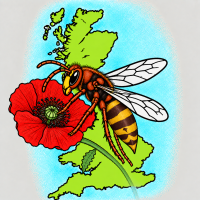 IMG_3470.png