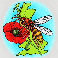 IMG_7094.png