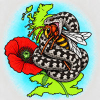 IMG_3489.png