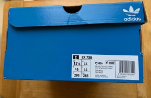 IMG_4174-compressed.jpeg